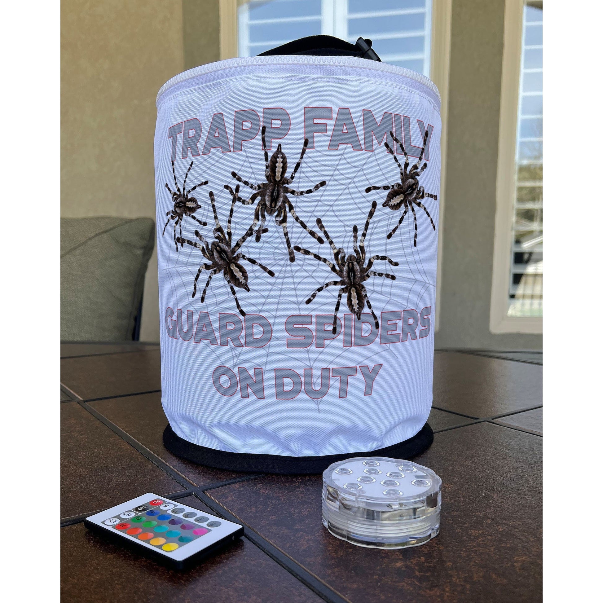 Guard Spiders On Duty LED Halloween Decoration