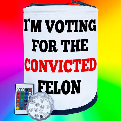 I'm Voting for the Convicted Felon LED Color Changing Party Light