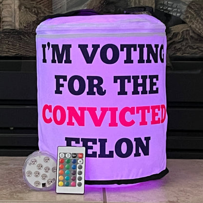 I'm Voting for the Convicted Felon LED Color Changing Party Light